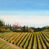 Vineyard near San Gimignano, Tuscany 